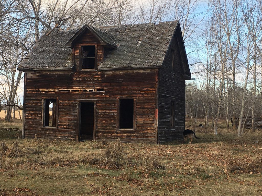 pferderanch in kanada