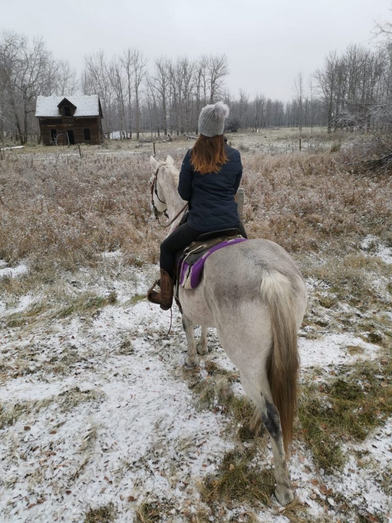 schnee farmstay