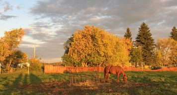 farmstay kanada seasons