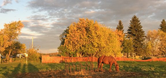 farmstay kanada seasons