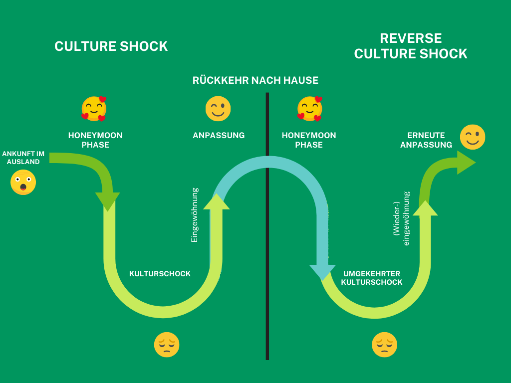 w-modell reverse culture shock