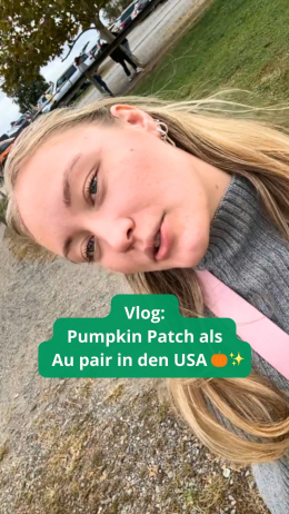 Instagram media