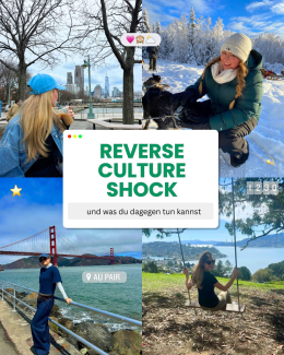 Instagram media