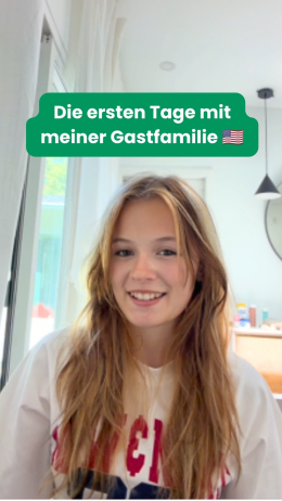 Instagram media