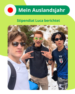 Instagram media