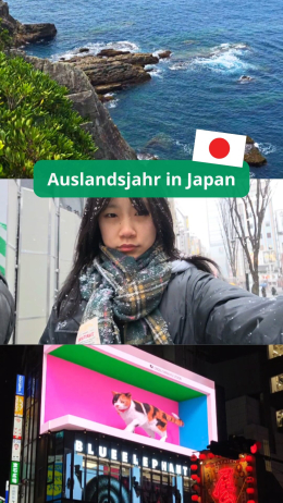 Instagram media