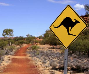 Schueleraustausch Australien, Schild, Kaenguru