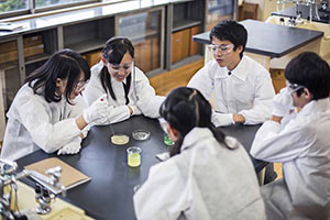 schueleraustausch-japan-chemieunterricht-experiment