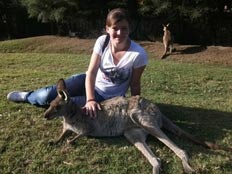 erfahrungsbericht-au-pair-australien-sabrina-kangaroo