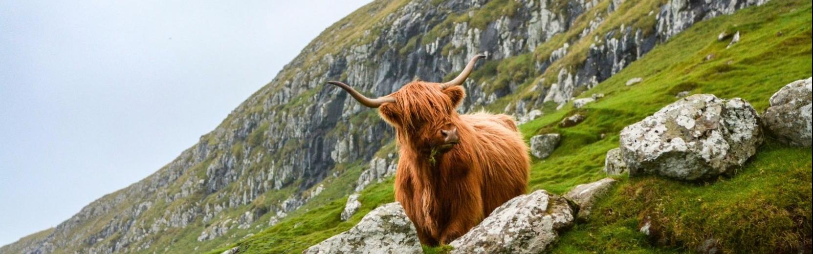 Schottland Schüleraustausch