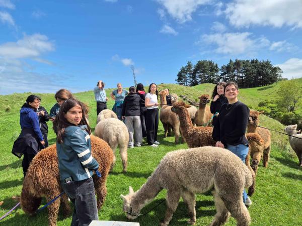 Hutt Valley High School Wellington