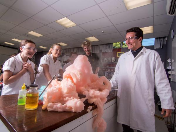 Waimea College Campus aus der Luft