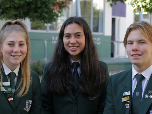 Otumoetai College Luftaufnahme