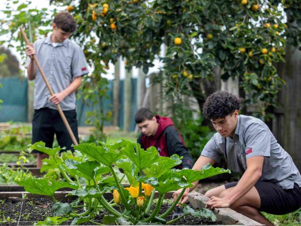 Nayland College Landwirtschaft