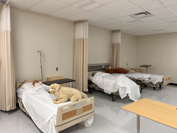 Orillia Secondary School Krankenstation