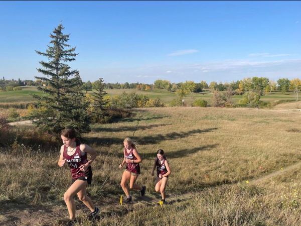 Marion Graham Collegiate Sport