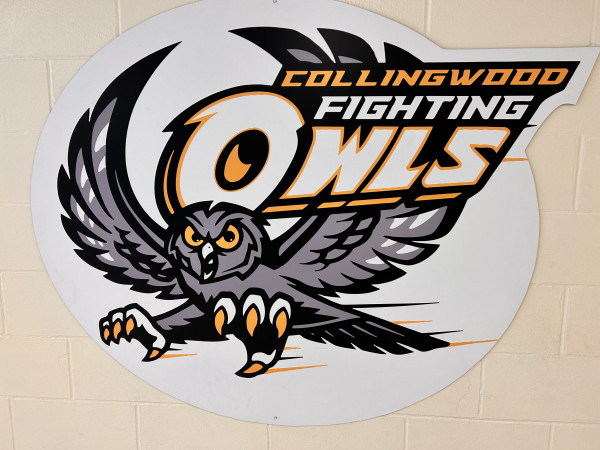 Collingwood Collegiate Institute Logo
