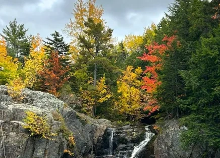 Wasserfall bunter Wald