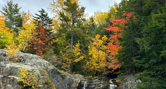 Wasserfall bunter Wald