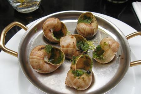 Schnecken Mahlzeit